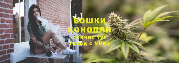 крисы Киренск