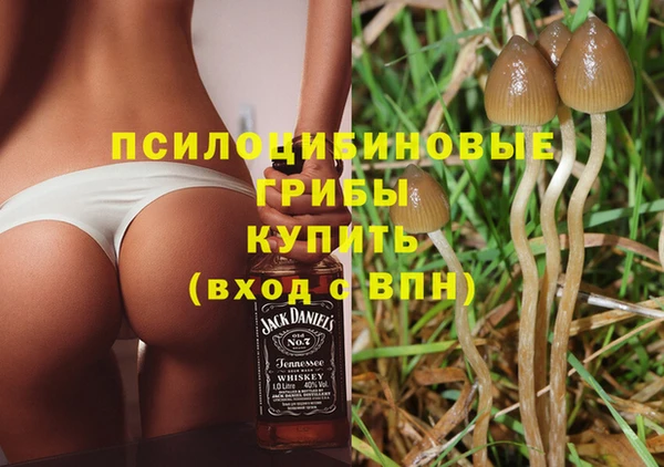 мет Кинешма