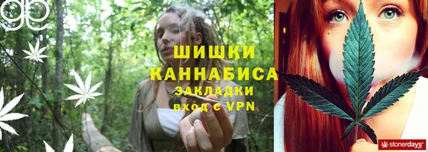 крисы Киренск