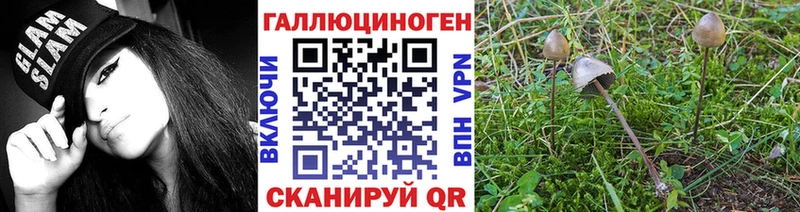 Галлюциногенные грибы GOLDEN TEACHER  Купить закладки  Слюдянка 